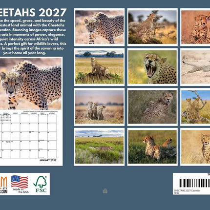 Gotham Cheetah Kalender 2027