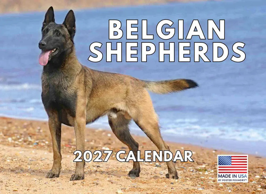 Gotham Mechelaar Kalender 2027