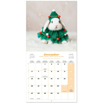 Grupo Bunnies Kalender 2027