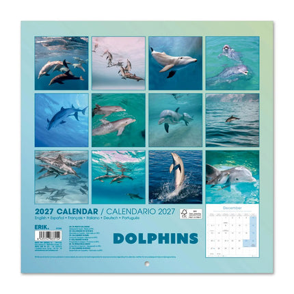 Grupo Dolfijnen Kalender 2027