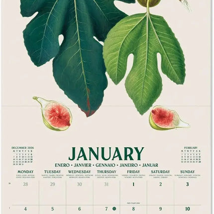 Grupo Erik Botanical Fruits Kalender 2027