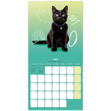 Grupo Katten Kalender 2027