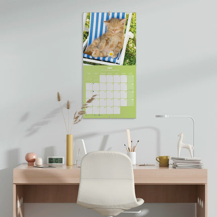 Grupo Kittens Kalender 2026