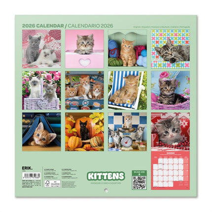 Grupo Kittens Kalender 2026