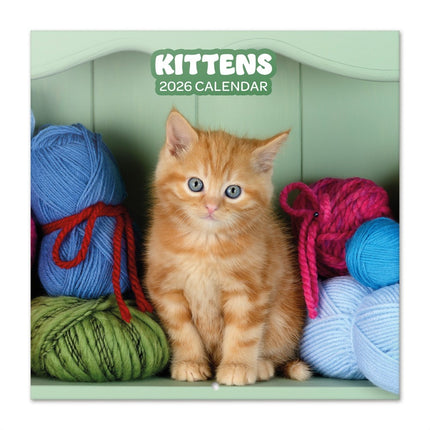 Grupo Kittens Kalender 2026
