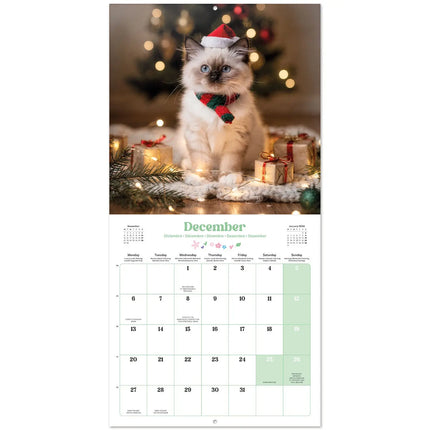 Grupo Kittens Kalender 2027