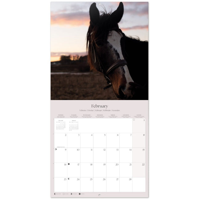 Grupo Paarden Kalender 2026