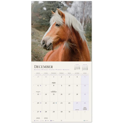 Grupo Paarden Kalender 2027