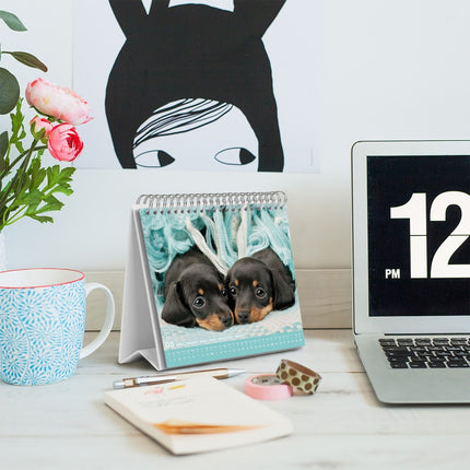 Grupo Puppies Desk Kalender 2027