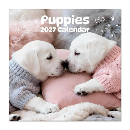 Grupo Puppies Kalender 2027