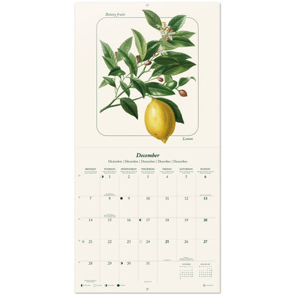 Grupo Vintage Fruit Kalender 2026