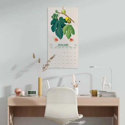 Grupo Vintage Fruit Kalender 2027