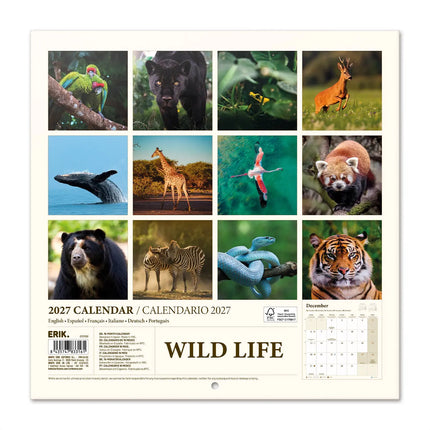 Grupo Wildlife Kalender 2027