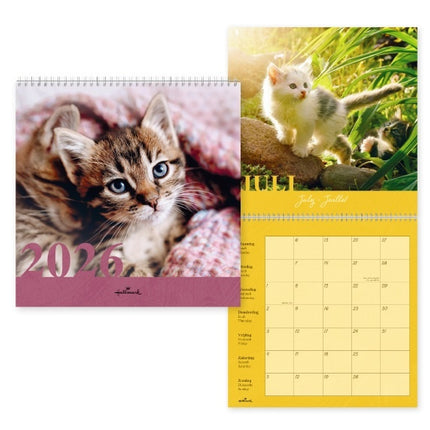 Hallmark Cats Kalender 2026