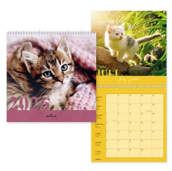 Hallmark Cats Kalender 2026