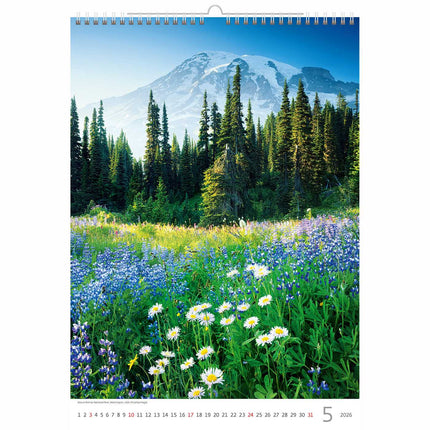 Helma Bergen Kalender 2027