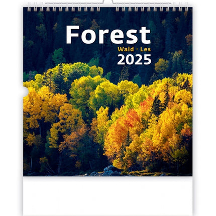 Helma Bos Kalender 2025