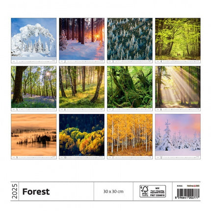 Helma Bos Kalender 2025