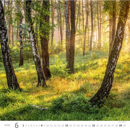 Helma Bos Kalender 2025