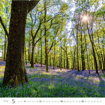 Helma Bos Kalender 2025