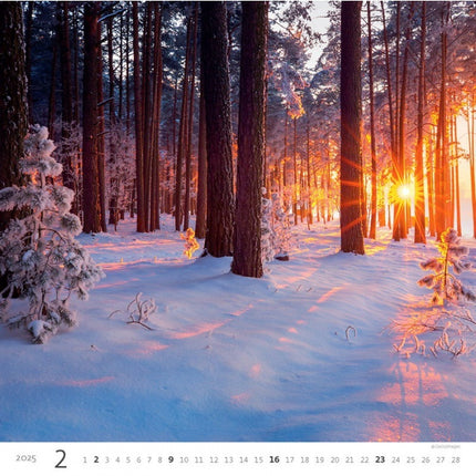 Helma Bos Kalender 2025