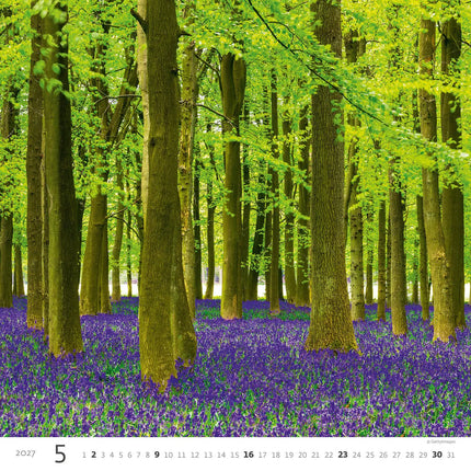 Helma Bos Kalender 2027
