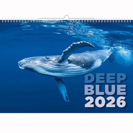 Helma Deep Blue Wildlife Kalender 2026