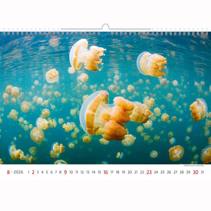 Helma Deep Blue Wildlife Kalender 2026