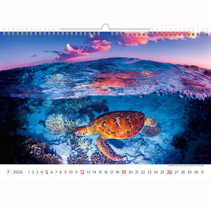 Helma Deep Blue Wildlife Kalender 2026