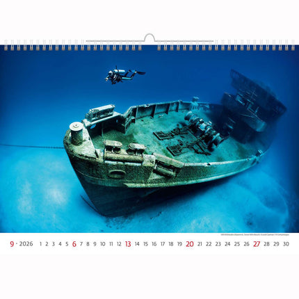 Helma Deep Blue Wildlife Kalender 2026