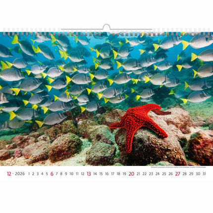 Helma Deep Blue Wildlife Kalender 2026