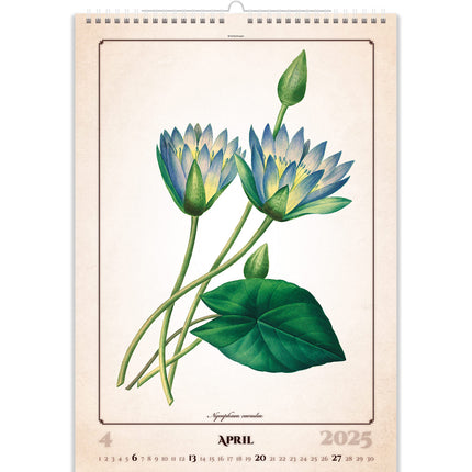 Helma Herbarium Kalender 2025