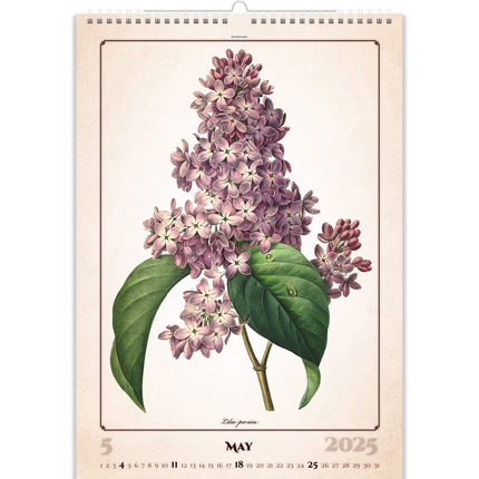 Helma Herbarium Kalender 2025
