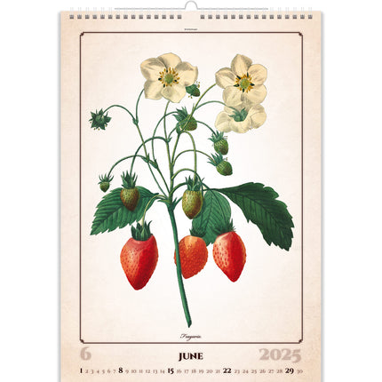 Helma Herbarium Kalender 2025