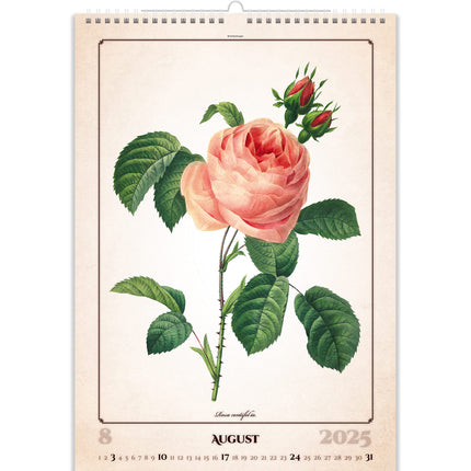 Helma Herbarium Kalender 2025