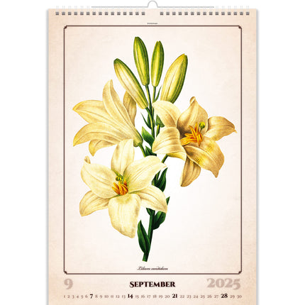 Helma Herbarium Kalender 2025