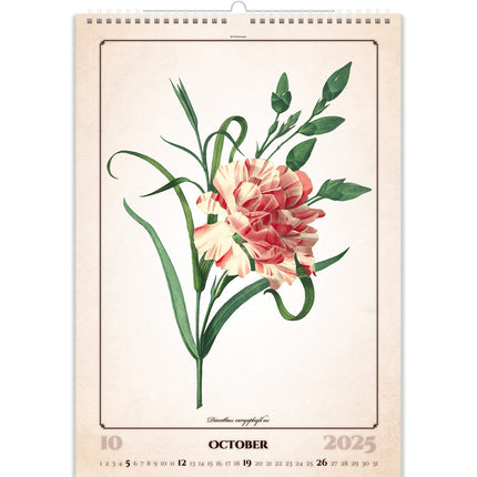 Helma Herbarium Kalender 2025