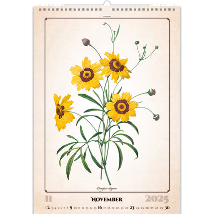 Helma Herbarium Kalender 2025