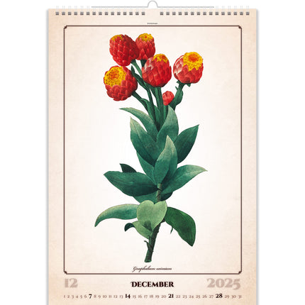 Helma Herbarium Kalender 2025