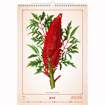 Helma Herbarium Kalender 2026