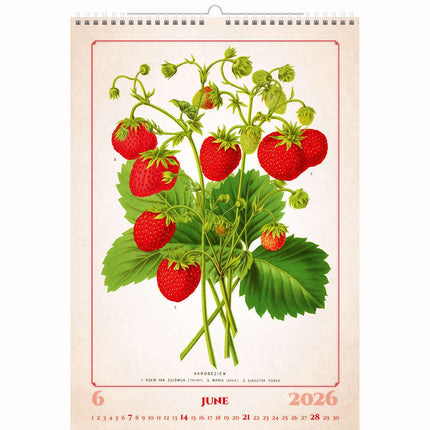 Helma Herbarium Kalender 2026