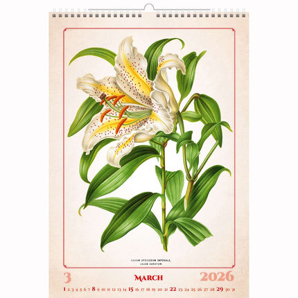 Helma Herbarium Kalender 2026