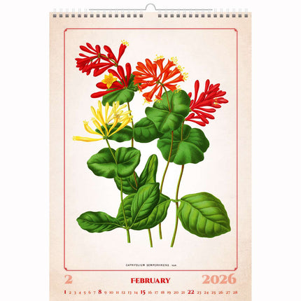 Helma Herbarium Kalender 2026