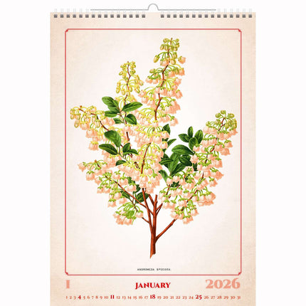 Helma Herbarium Kalender 2026