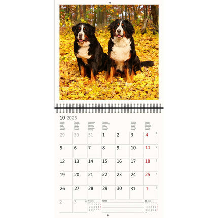 Helma Honden Kalender 2026