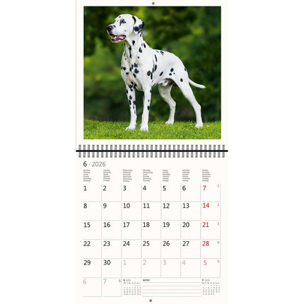 Helma Honden Kalender 2026