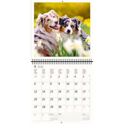 Helma Honden Kalender 2026