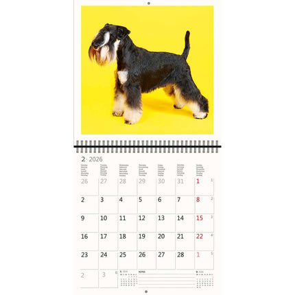 Helma Honden Kalender 2026