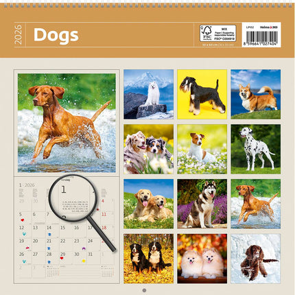 Helma Honden Kalender 2026