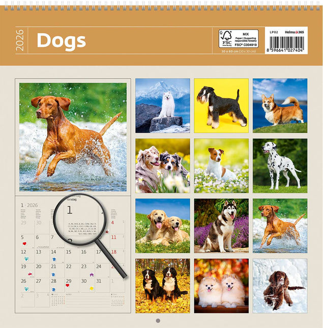 Helma Honden Kalender 2026